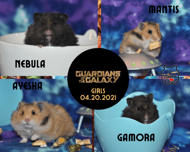 Guardians of the galaxy