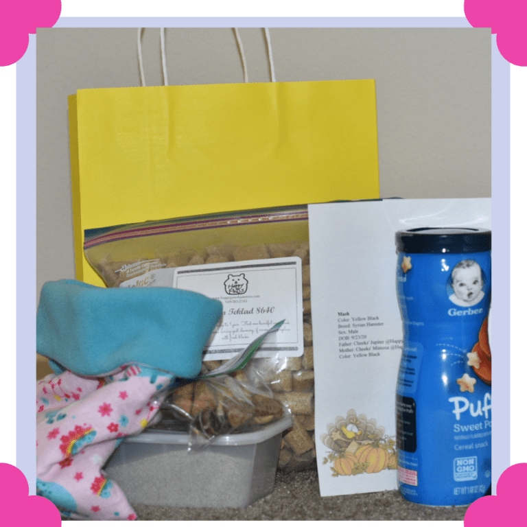 Happy Paws adoption package